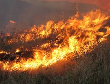 Φωτιά στην Κέρκυρα: Εκκενώθηκε το χωριό Ραχτάδες